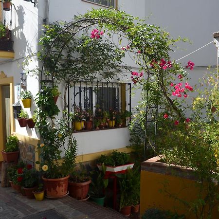 Finca El Molino De Aceite Jubrique Bagian luar foto