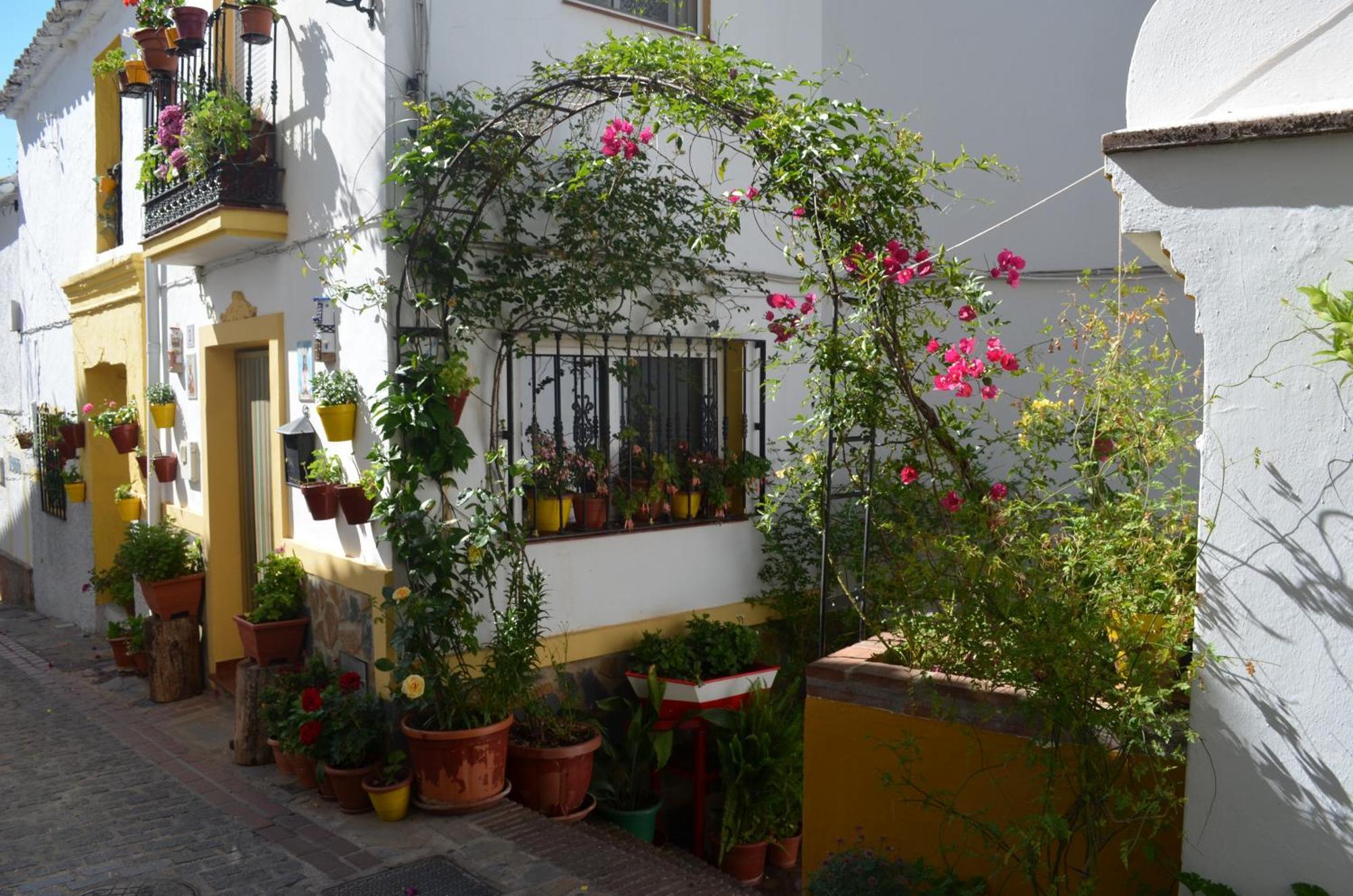 Finca El Molino De Aceite Jubrique Bagian luar foto