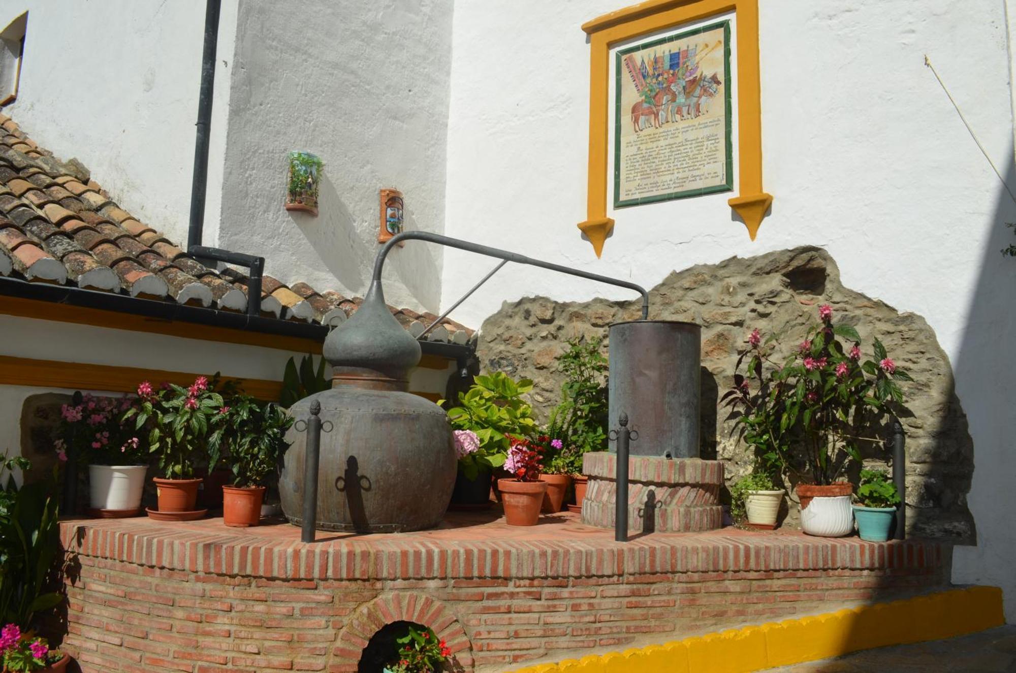 Finca El Molino De Aceite Jubrique Bagian luar foto