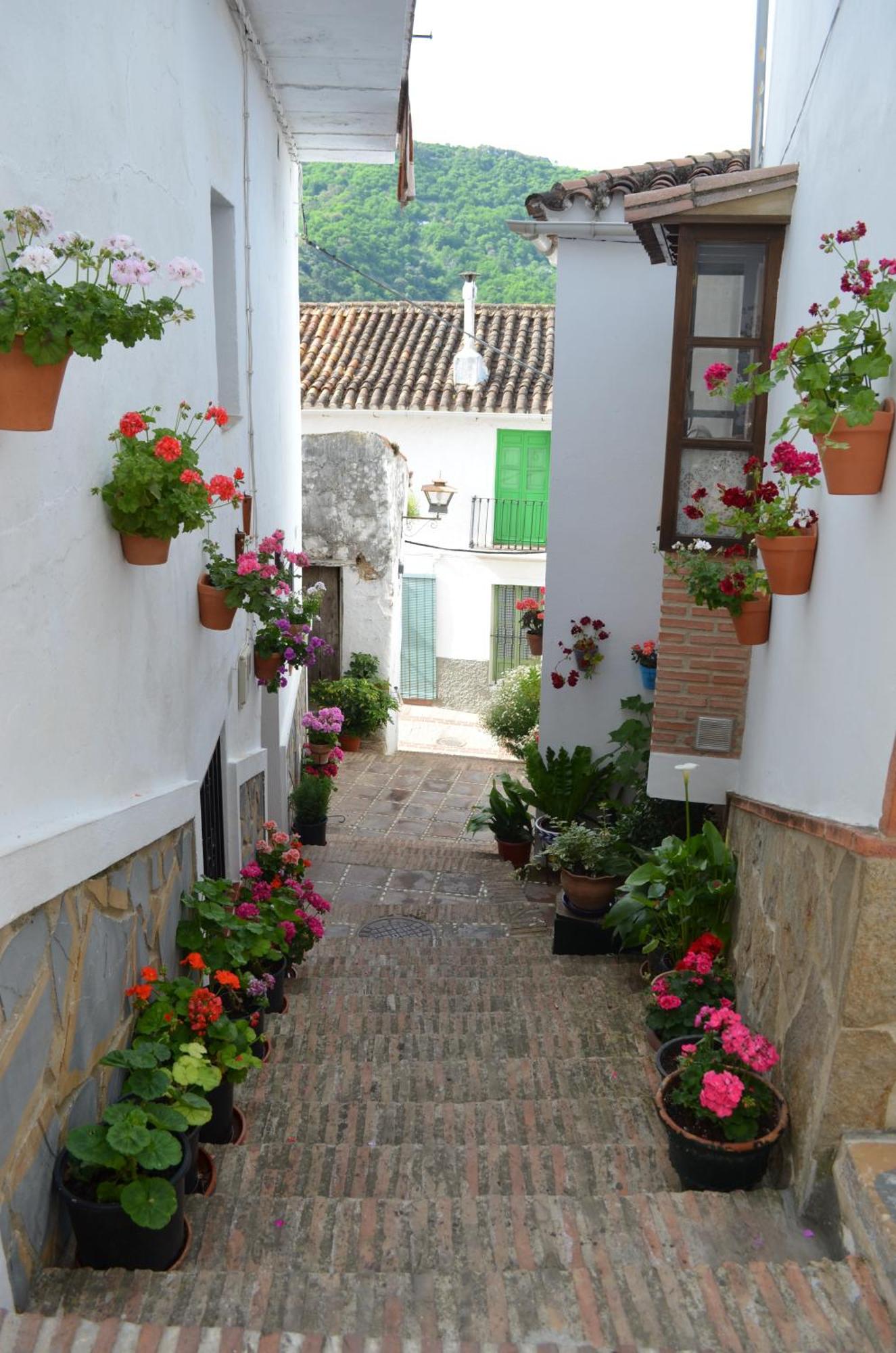 Finca El Molino De Aceite Jubrique Bagian luar foto