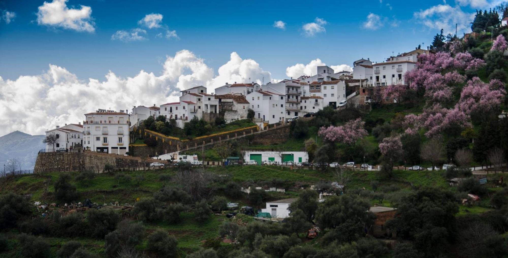 Finca El Molino De Aceite Jubrique Bagian luar foto