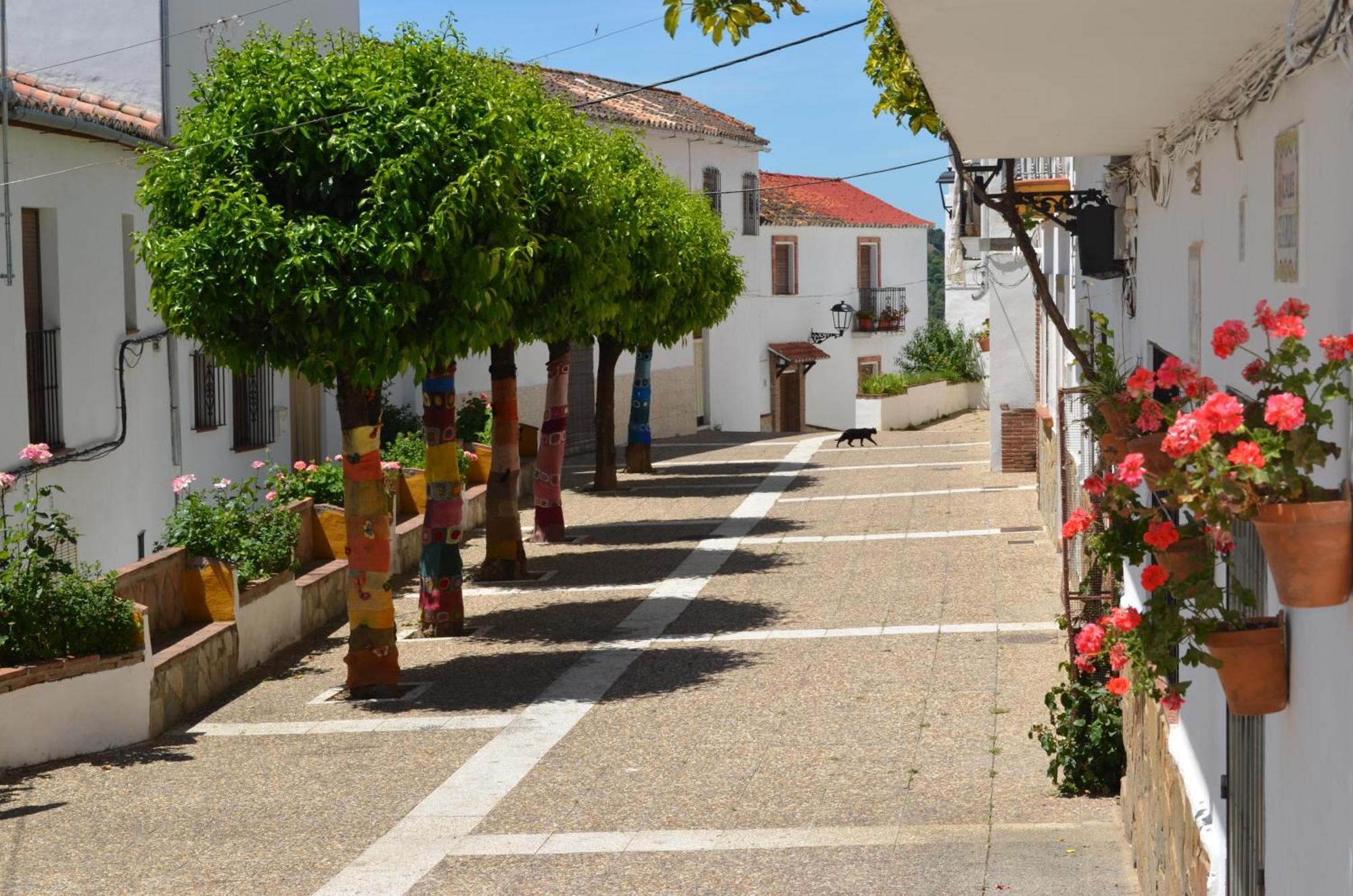 Finca El Molino De Aceite Jubrique Bagian luar foto