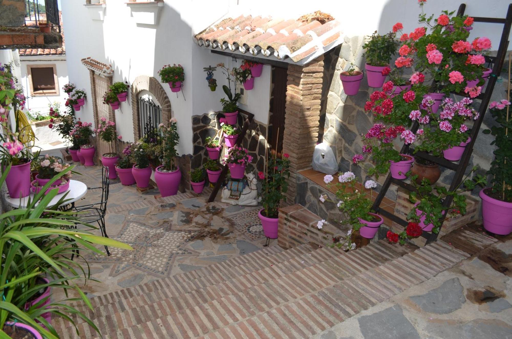 Finca El Molino De Aceite Jubrique Bagian luar foto