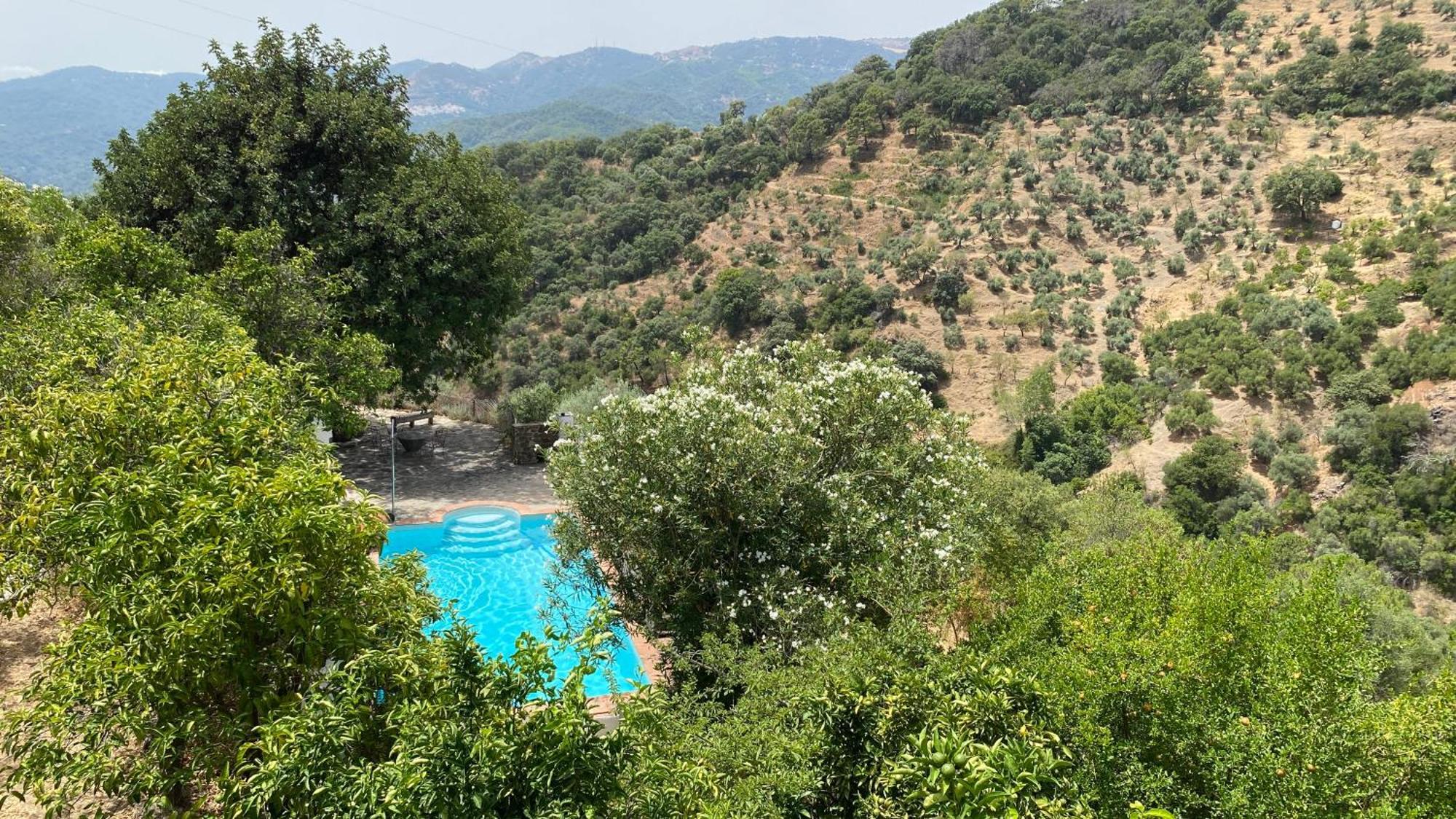 Finca El Molino De Aceite Jubrique Bagian luar foto